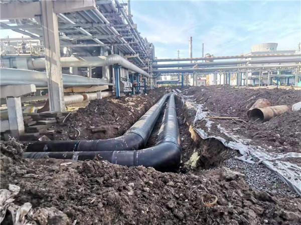 國(guó)石油大慶石化有限公司龍鳳煉油廠吸收式熱泵清潔能源供熱項(xiàng)目